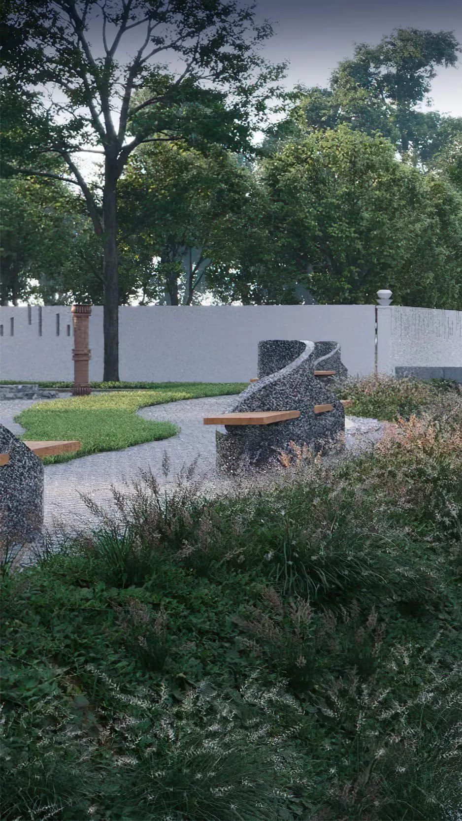 Forest In My Backyard