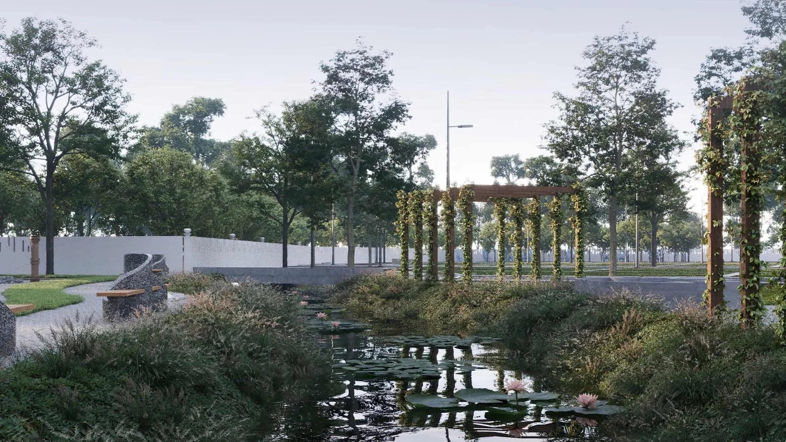 Forest In My Backyard