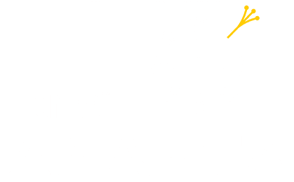 KNS Ananta