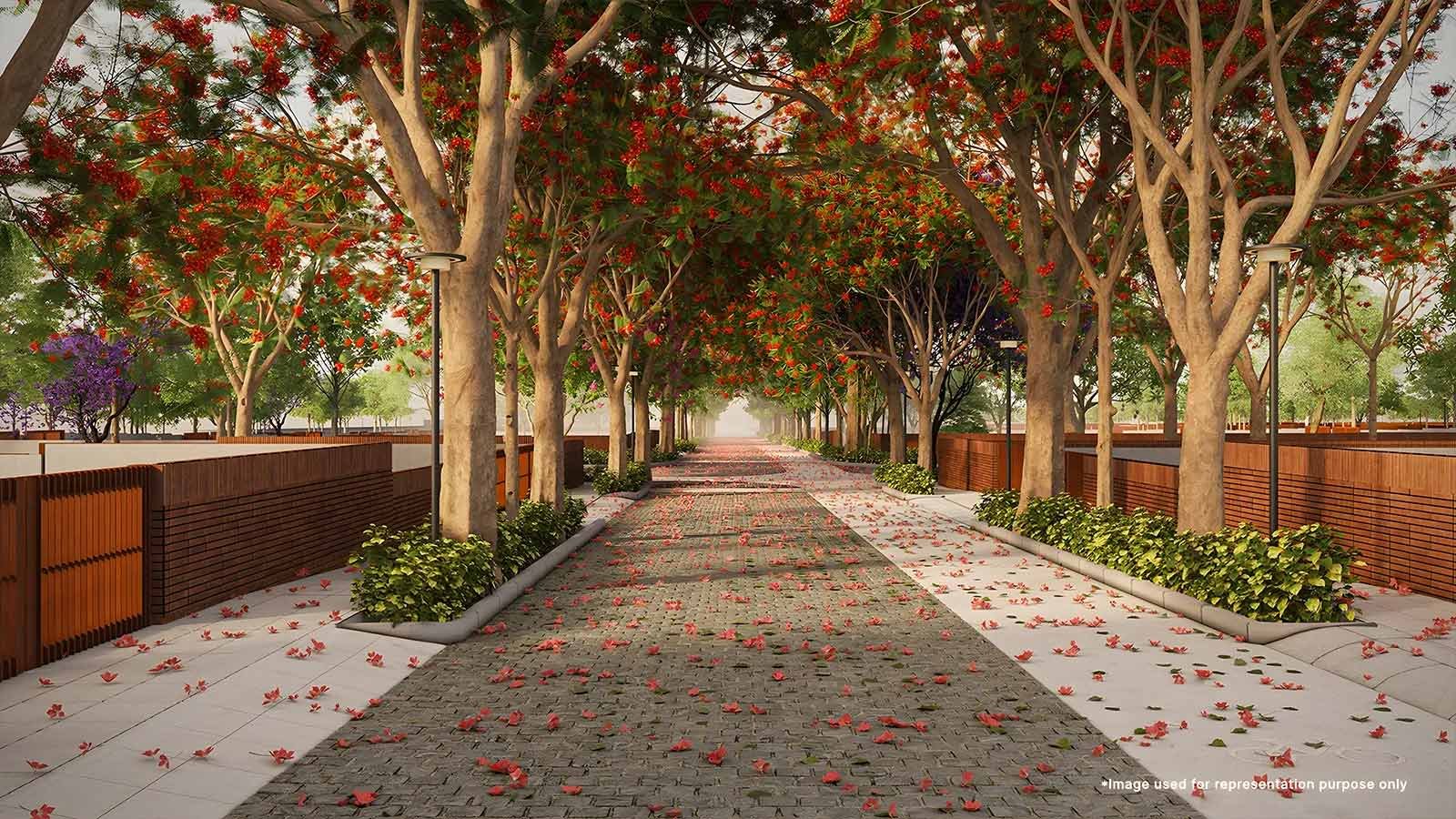 Tangled Up In Greens