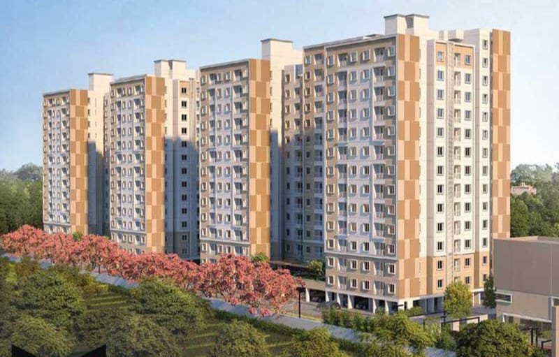 WhatsApp-Image-2024-07-11-at-12.15.30-AM