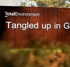 Tangled Up In Greens