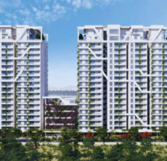 Adobe Express - file