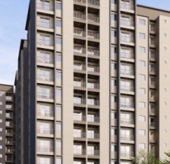 Salisbury-website-Gallery-images-1-4