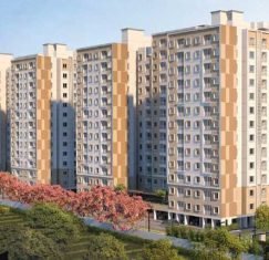 WhatsApp-Image-2024-07-11-at-12.15.30-AM