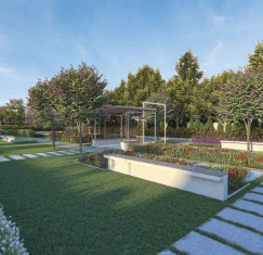 downloaded_image (1)